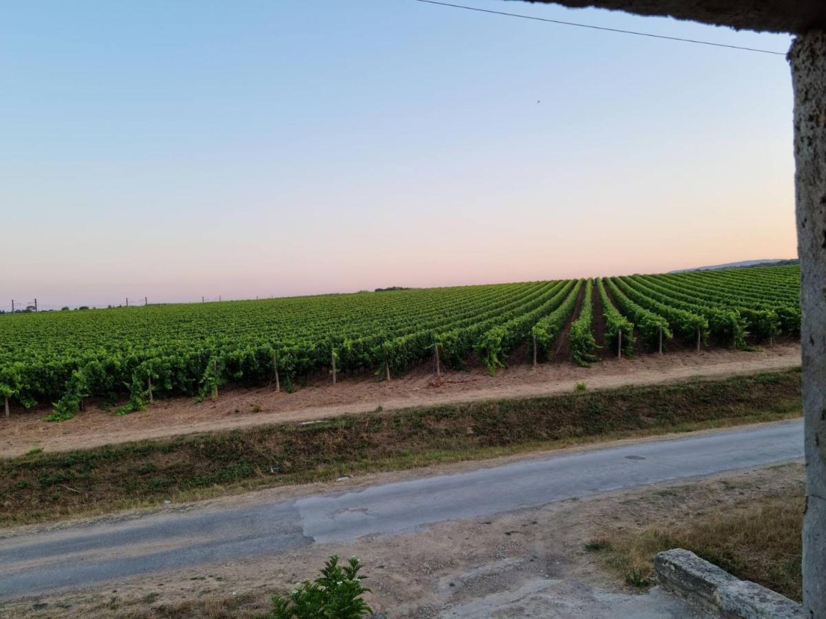 Gites De L'Estagnol Villeneuve-lès-Maguelonne Exterior foto